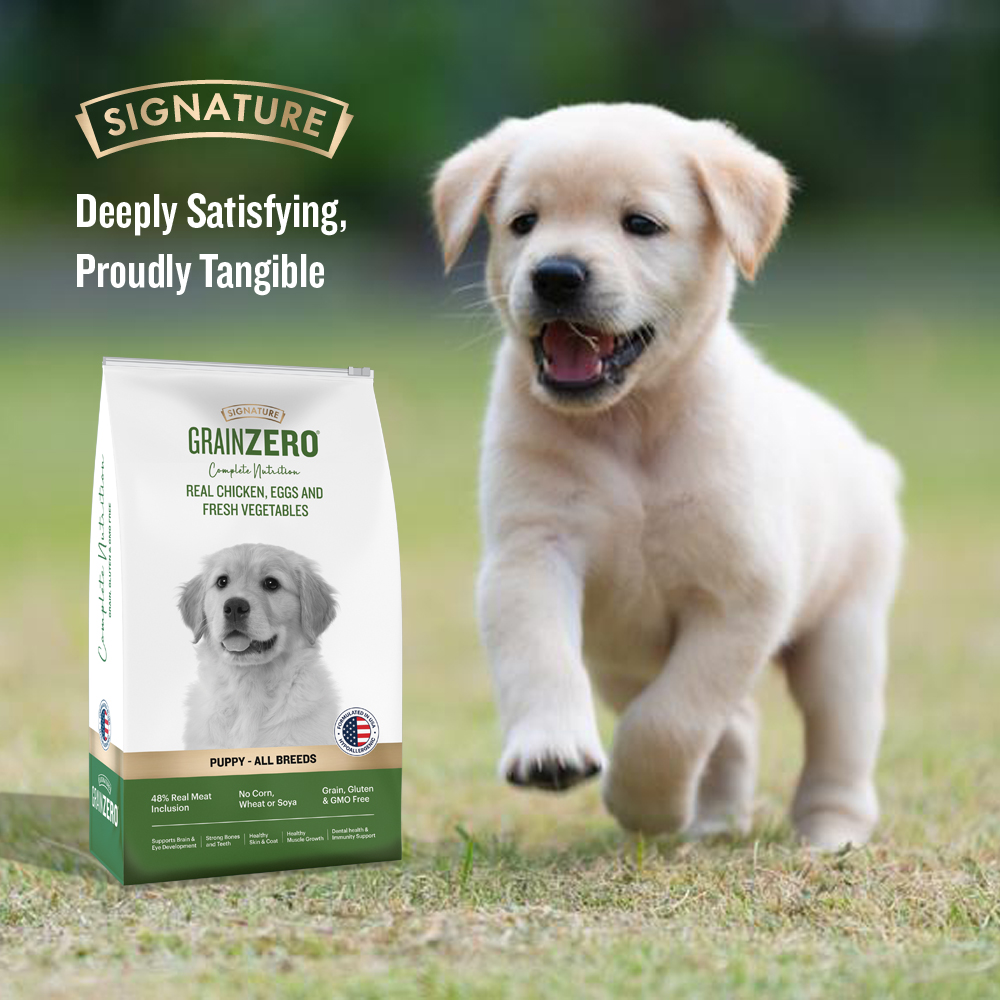 Signature Grain Zero Real Chicken, Egg and Vegetables Puppy Dog Dry Food image 6