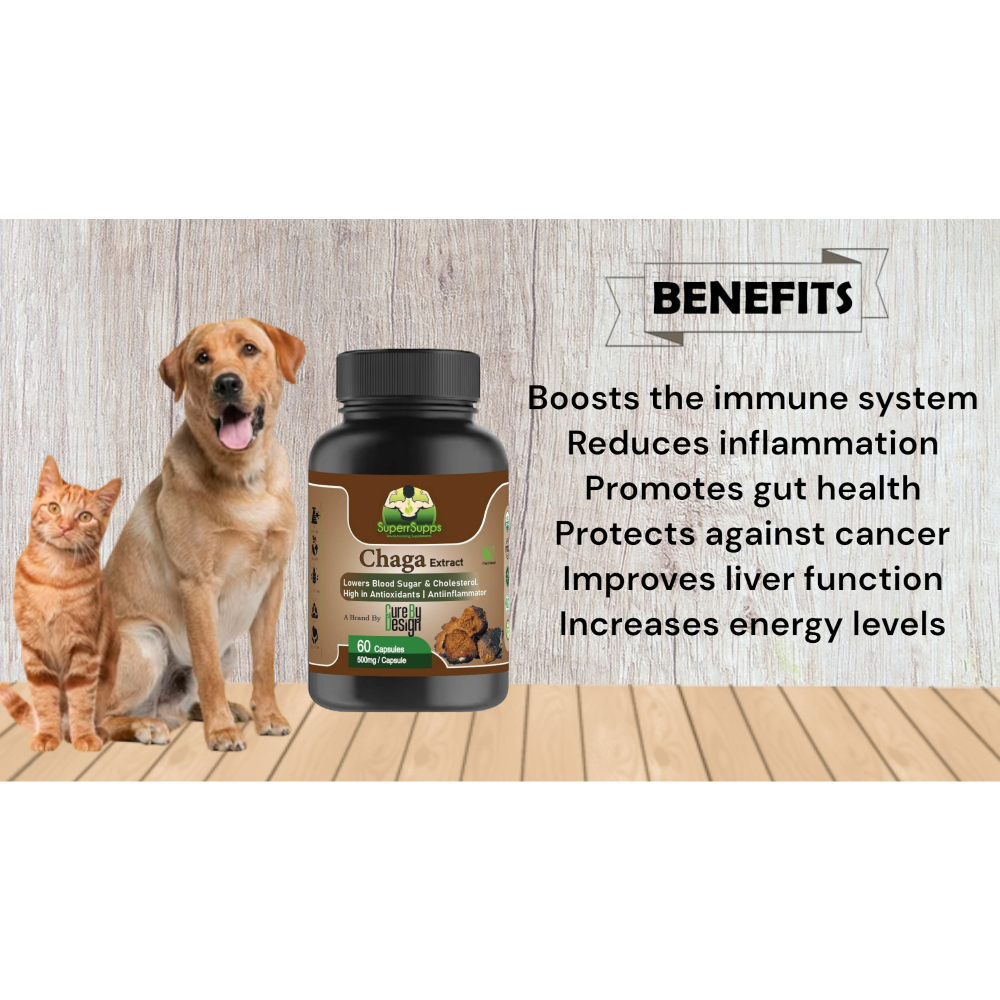 Cure By Design Chaga Mushroom Capsules for Dogs and Cats image 4