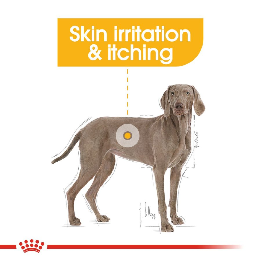 Royal Canin Derma Comfort Maxi Adult Dog Dry Food image 7