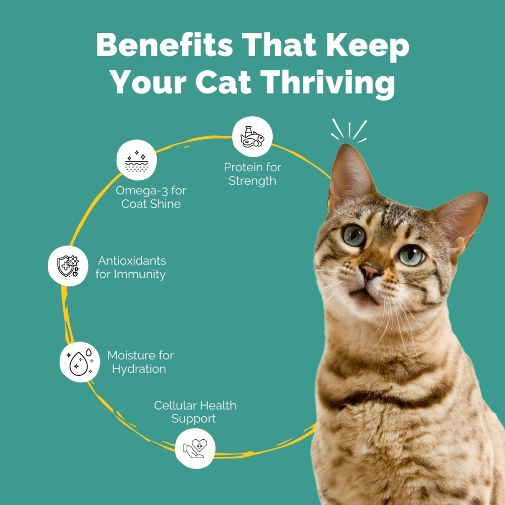 PetStrong Premium Wet Food Variety Pack Combo for Cats image 7