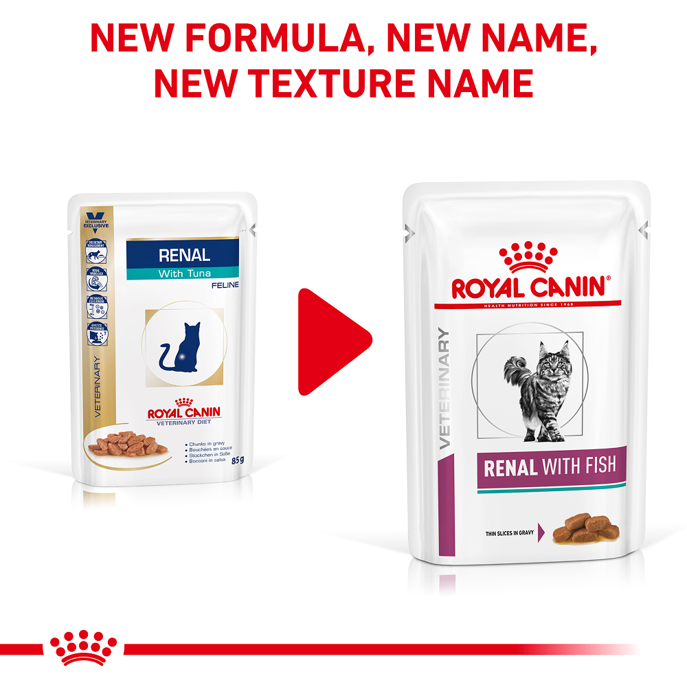 Royal Canin Veterinary Diet Renal Fish Adult Cat Wet Food image 2