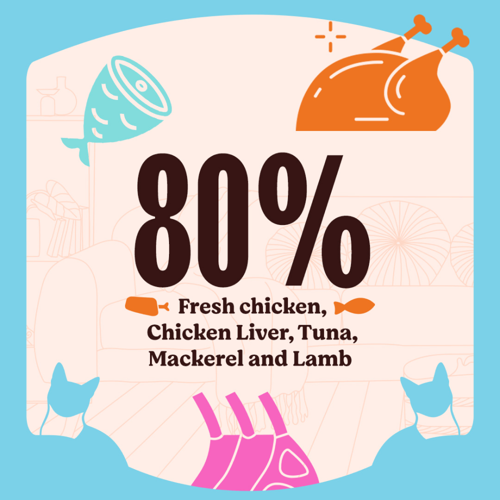 Kennel Kitchen Lamb with Chicken Shreds in Gravy Kitten and Adult Cat Wet Food (All Life Stage) image 4