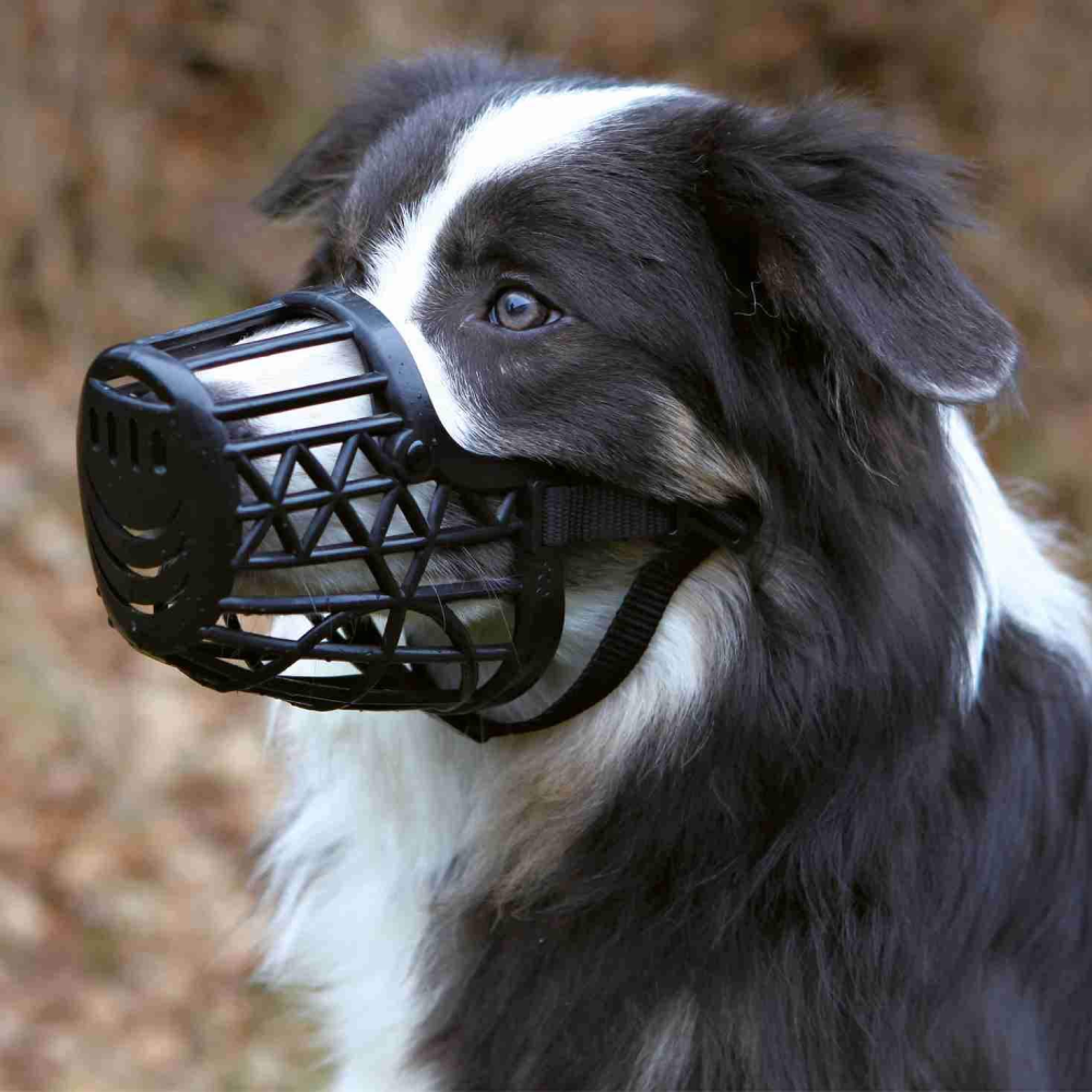 Trixie Plastic Muzzle for Dogs image 2