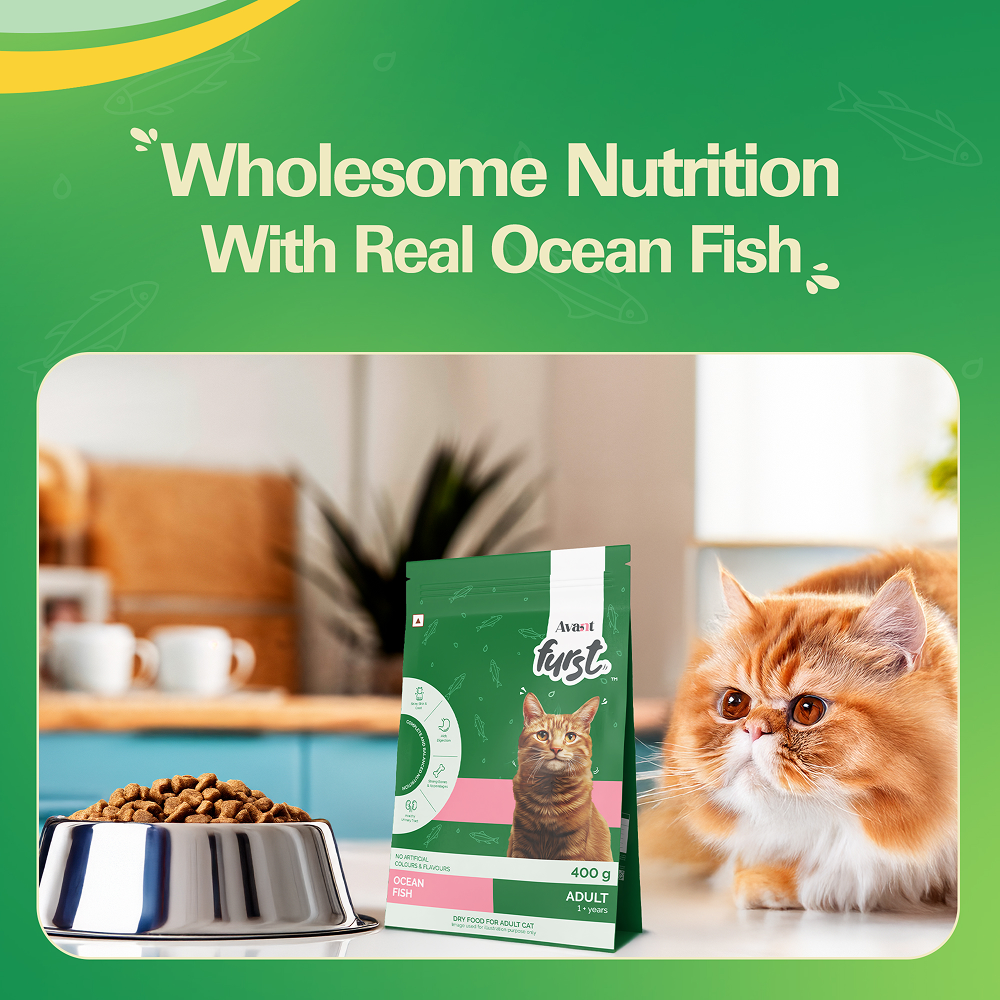 Avant Furst Ocean Fish Flavour Adult Cat Dry Food image 4