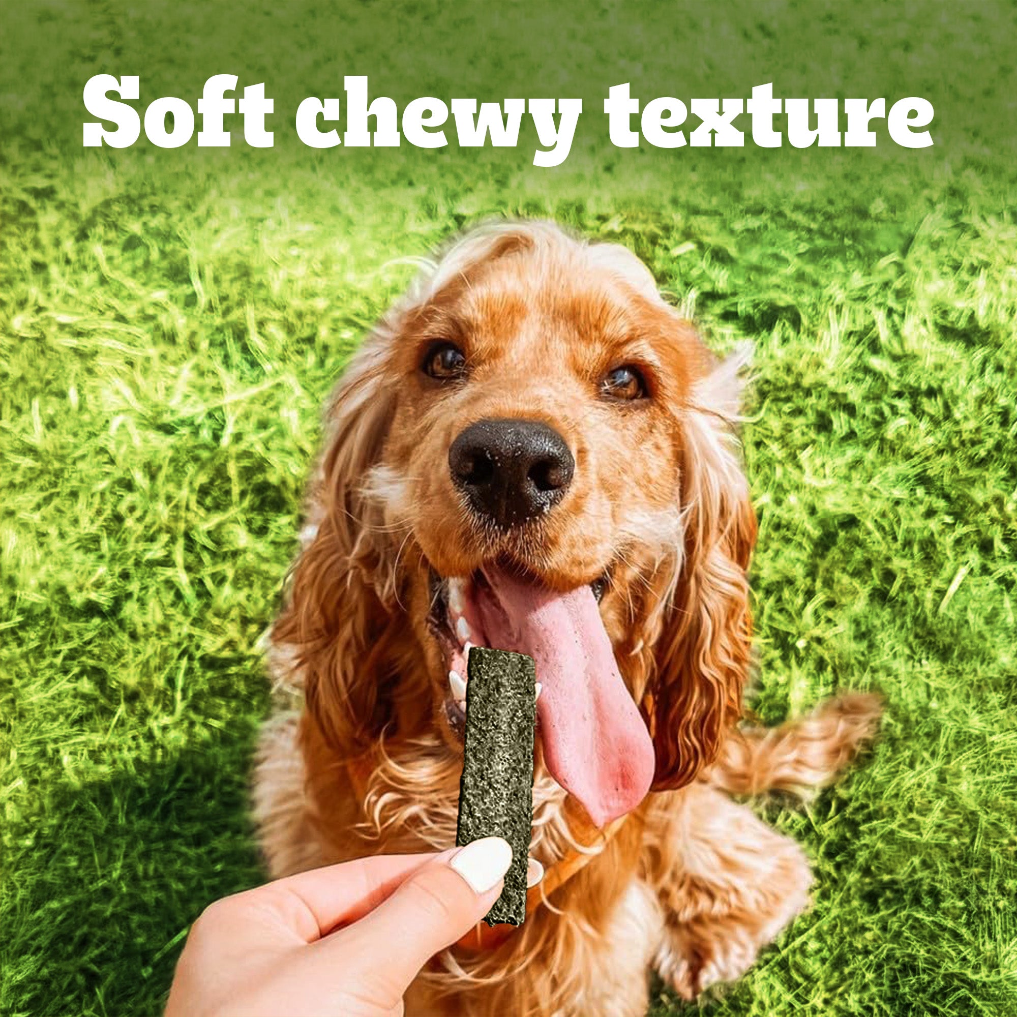 Pedigree Cheese & Spinach Tasty Jerky Dog Treats image 9