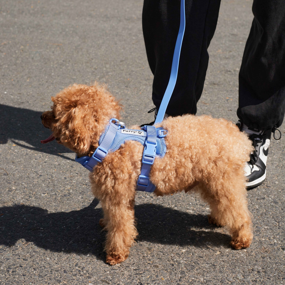 Furry & Co Bold Harness for Dogs (Everest Blue) image 6