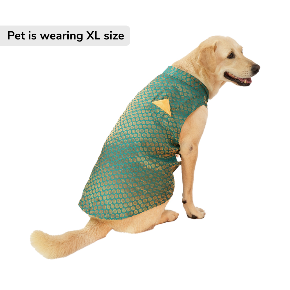 Skatrs Brocade Gold Printed Sherwani for Dogs and Cats (Teal) image 6