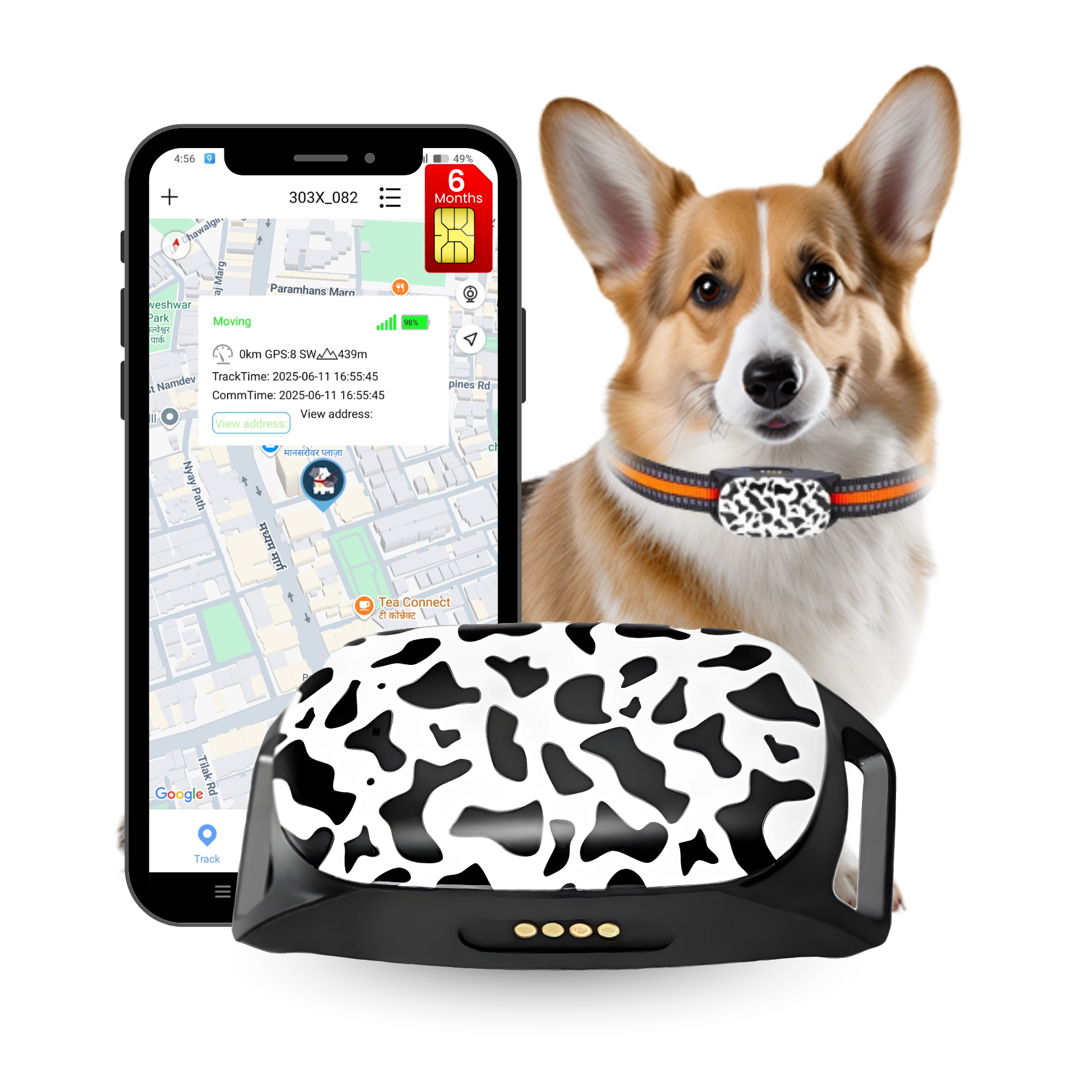 FeTaca G61 Smart 4G GPS Waterproof Collar Tracker with 12months Free Tracking & App Subscription for Dogs and Cats (White) image 1