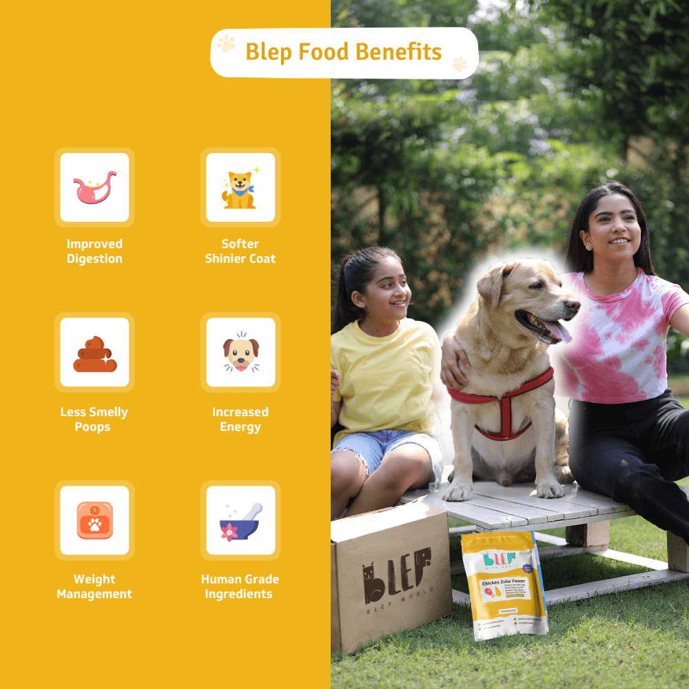 BLEP Chicken Zuke Pawer Dog Wet Food (300g) image 3