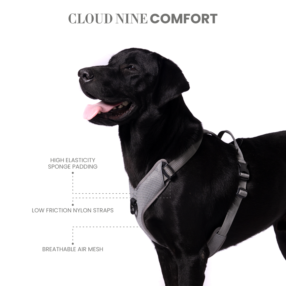 Truelove Harness with Reflective Fabric for Dogs (Gray) image 5