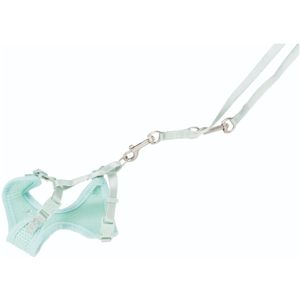 Trixie Junior Harness with Leash for Dogs (Mint) image 6