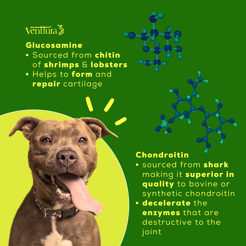 Venttura Inhancer Hip & Joint Soft Nuggets Supplements for Dogs image 8