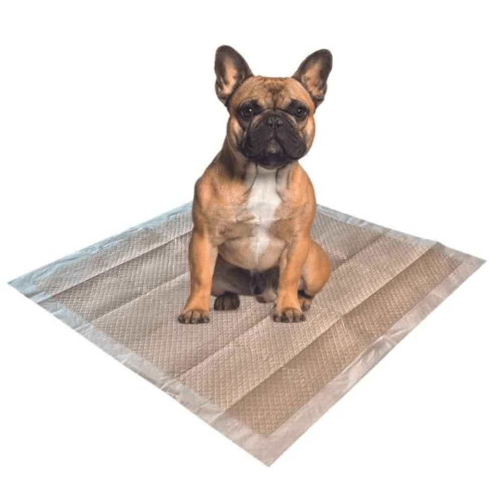 M Pets Eco Training Pads for Puppies (60x60cm) image 2