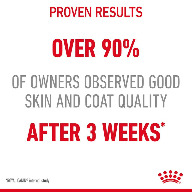 Royal Canin Hair & Skin Care Adult Gravy Cat Wet Food image 4