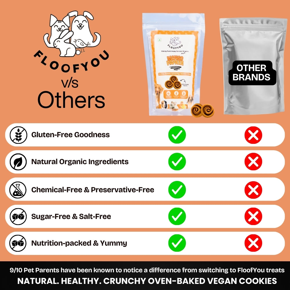 Floofyou Mango Papaya Vegan Oven Baked Cookie Dog Treats image 4