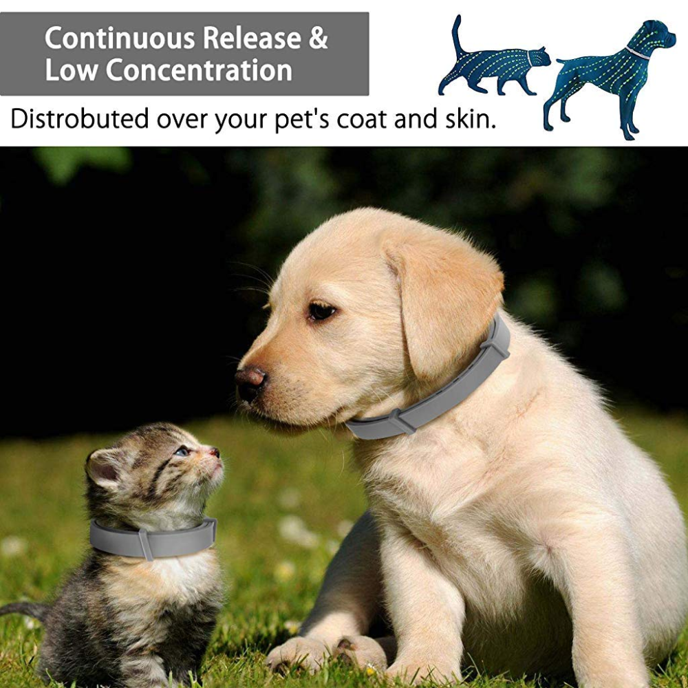 QPets Adjustable Waterproof Tick & Flea Collar for Dogs and Cats (Grey) image 4