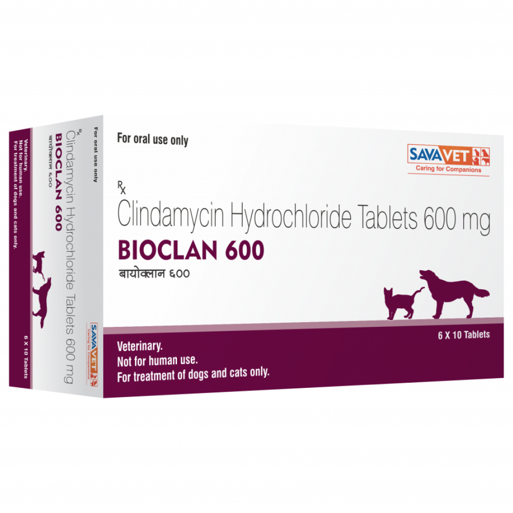 Savavet Bioclan (Clindamycin) Tablet for Dogs and Cats (pack of 10 tablets) image 4