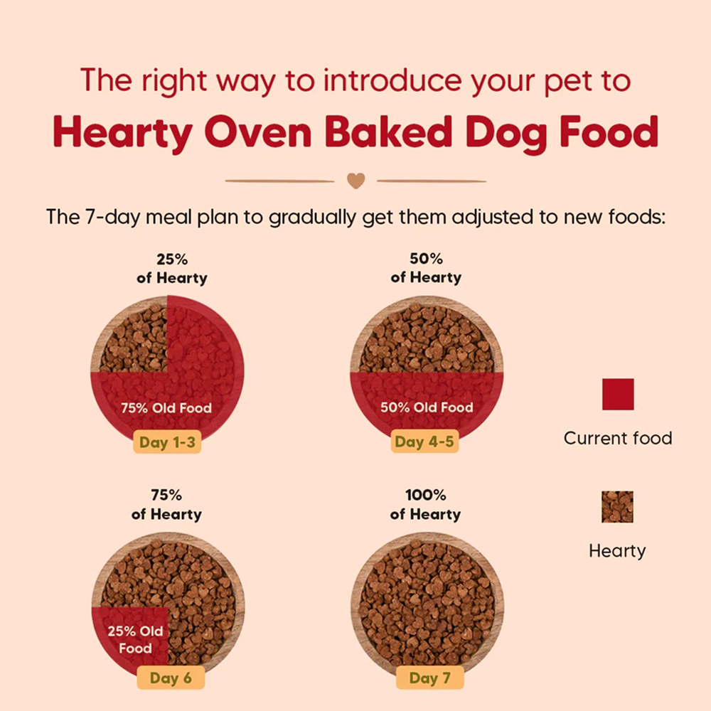 HUFT Hearty Oven Baked Chicken & Duck with Brown Rice Adult Dog Dry Food image 9