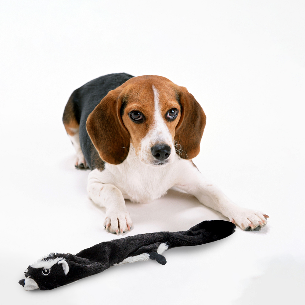 Barkbutler x Fofos Skinneez Skunk Toy for Dogs image 8