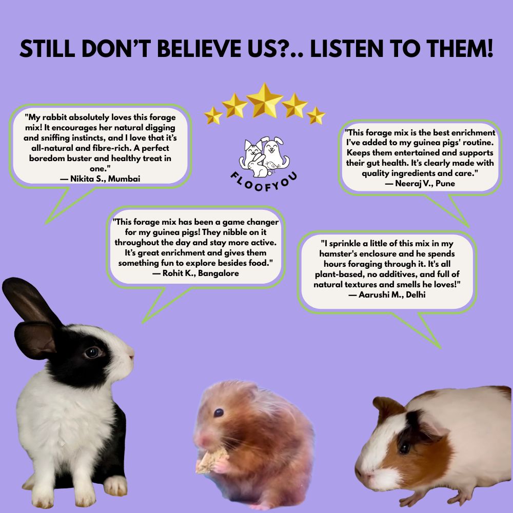 FloofYou Fibre Rich Forage Mix Rabbit Treats image 3