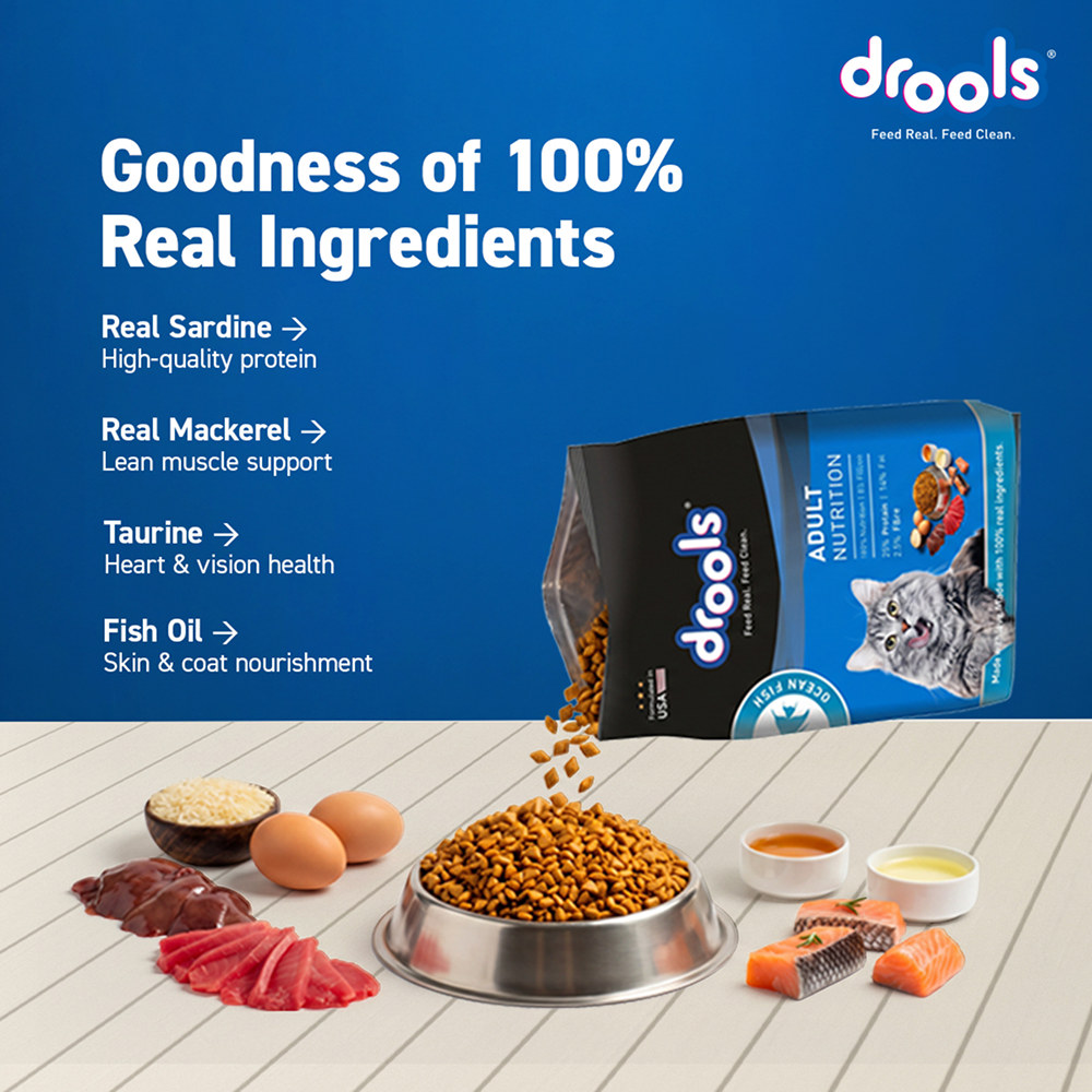 Drools Ocean Fish Adult Cat Dry Food image 4