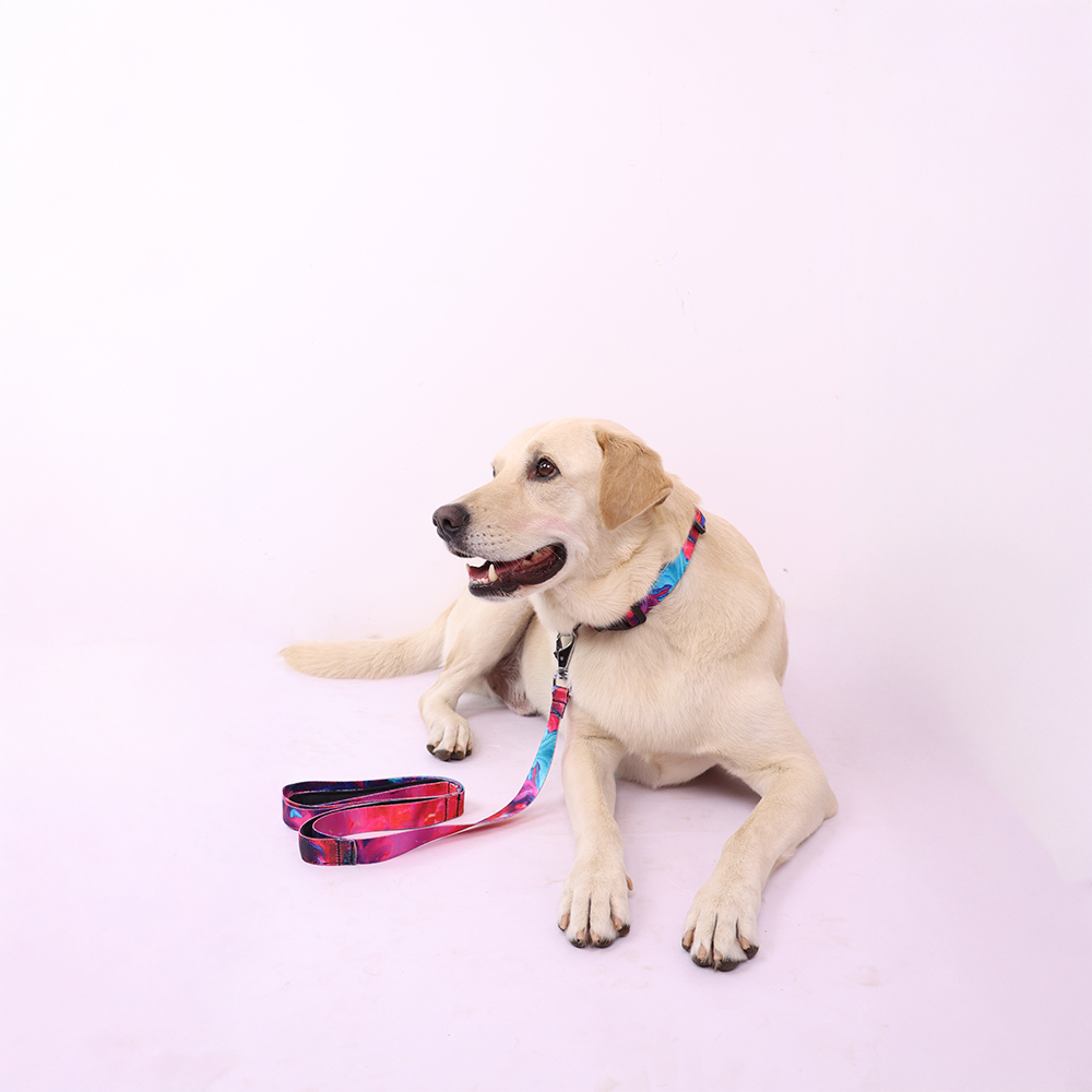 Skatrs Liquid Art Leash for Dogs image 5