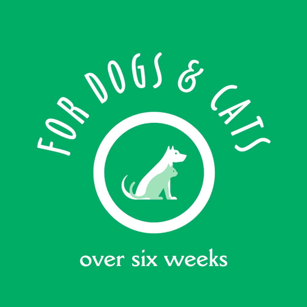 EarthBath Shed Control Green Tea & Awapuhi Shampoo for Dogs and Cats image 6