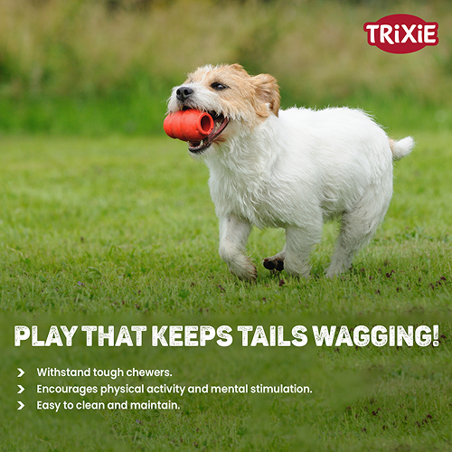 Trixie Jumper Chew Toy for Dogs (Yellow) image 4
