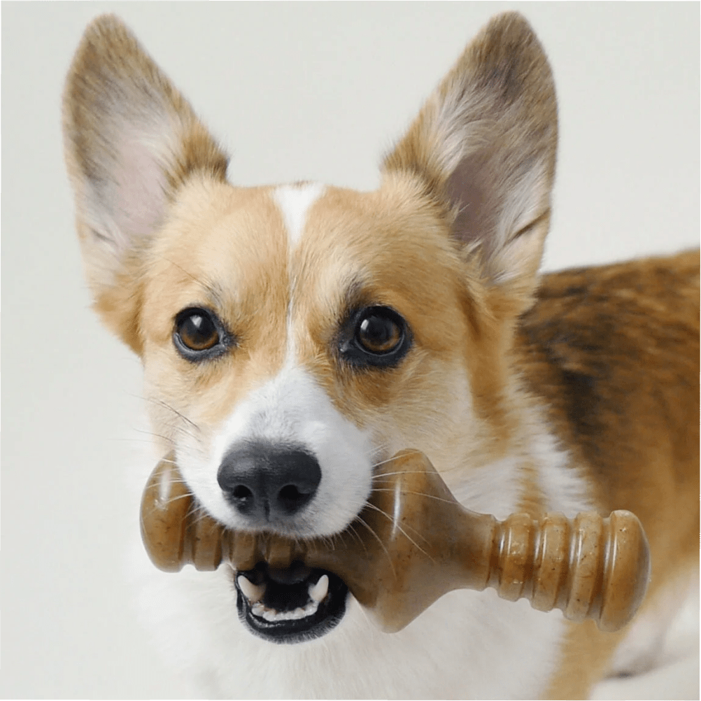 Benebone Bacon Butter Flavored Zaggler Rolling Chew Toy for Dogs image 6