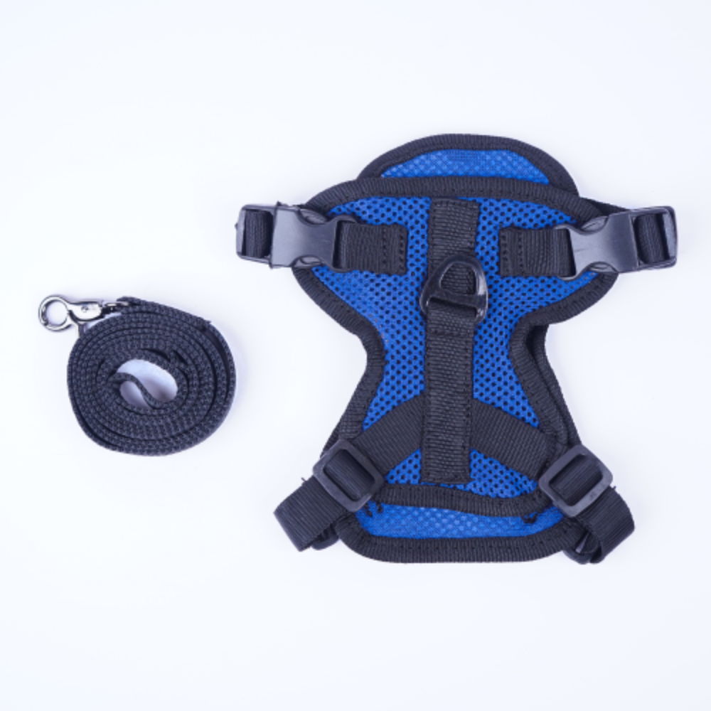 Skatrs Harness with Leash for Cats (Blue) image 4