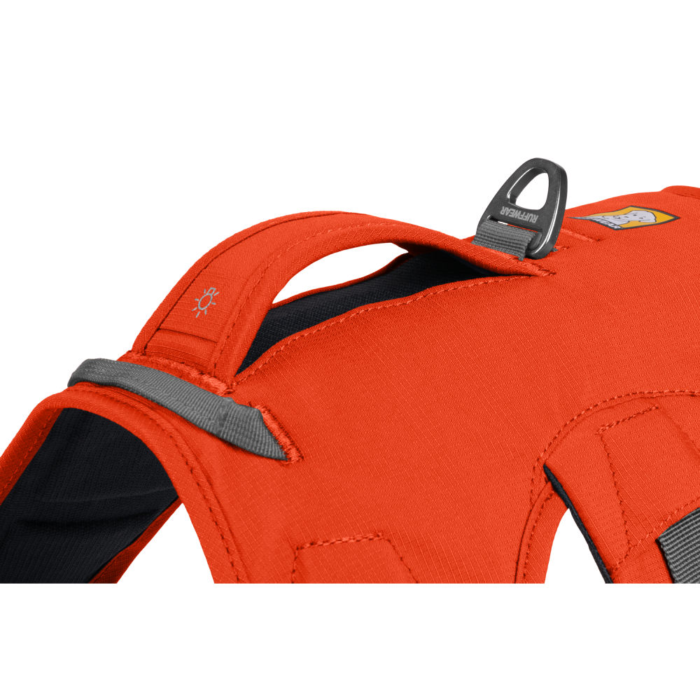 Ruffwear Webmaster Harness for Dogs (Blaze Orange) image 6
