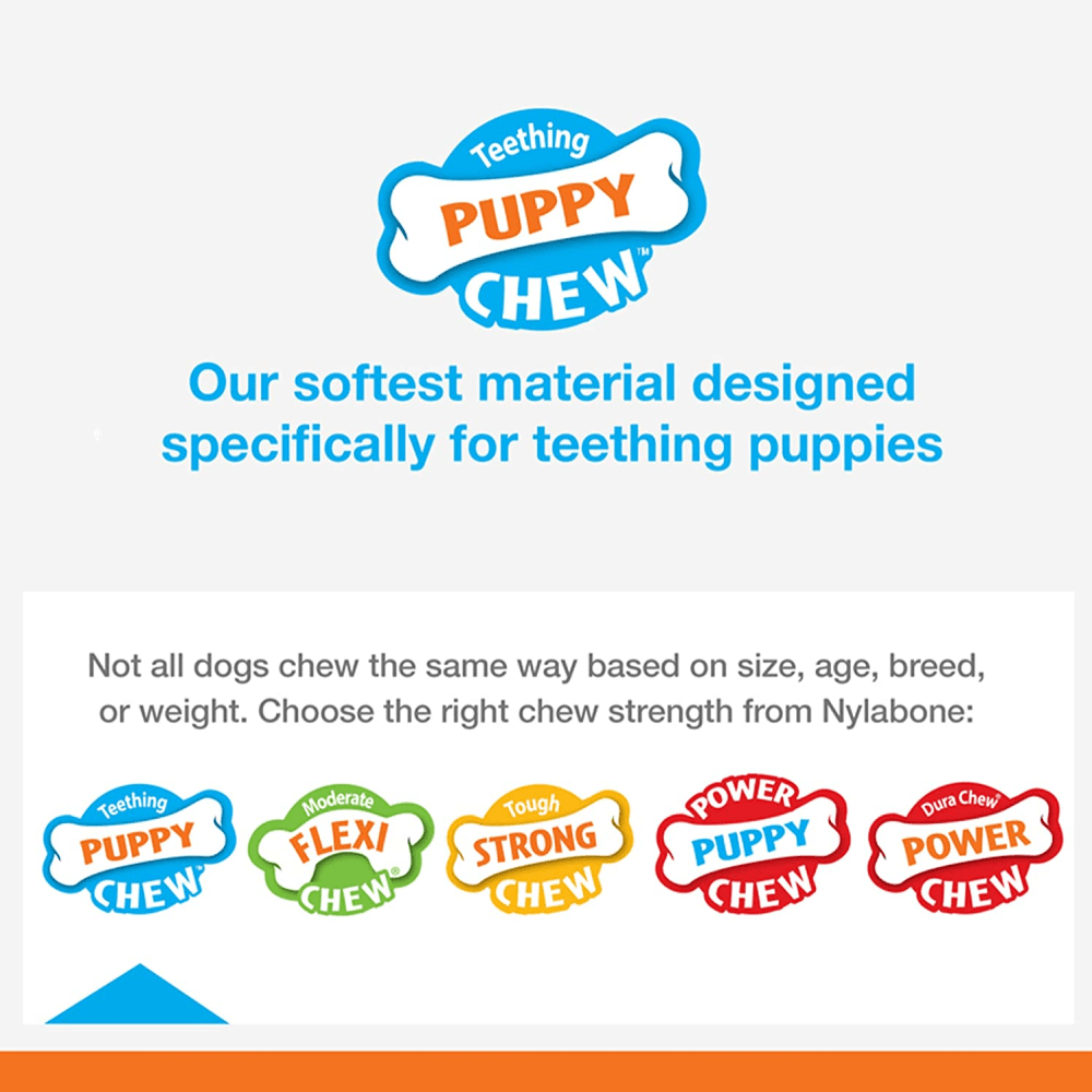 Nylabone Puppy Teething Chicken Flavoured Wish Bone Chew Toy for Dogs (Blue) image 4