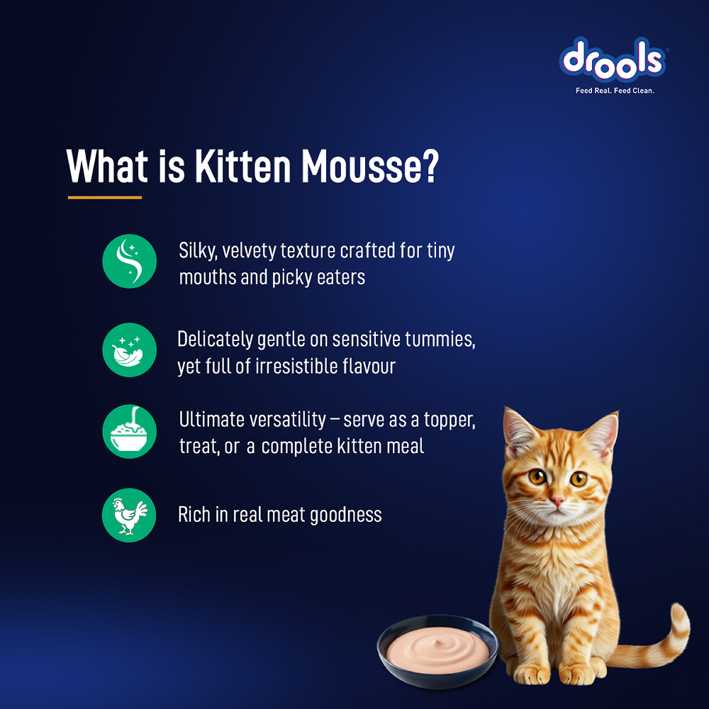 Drools Tuna Mousse Kitten Cat Wet Food image 2