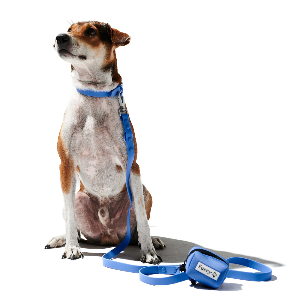 Furry & Co Weatherproof Collar and Leash for Dogs Combo (Everest Blue) - M image 7