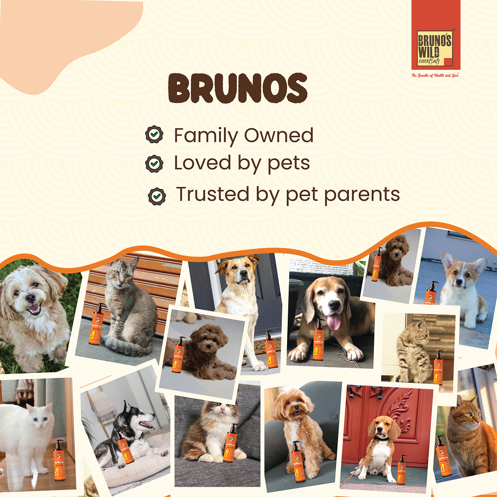 Bruno's Wild Essentials Sardine Oil for Dogs and Cats image 6