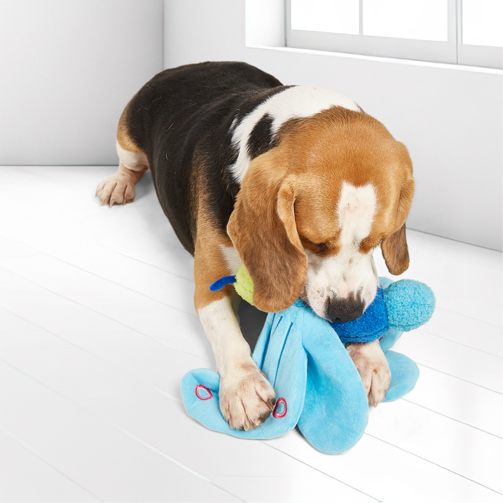 Barkbutler x Fofos Jumbo Butterfly Plush Toy for Dogs (Blue) image 6