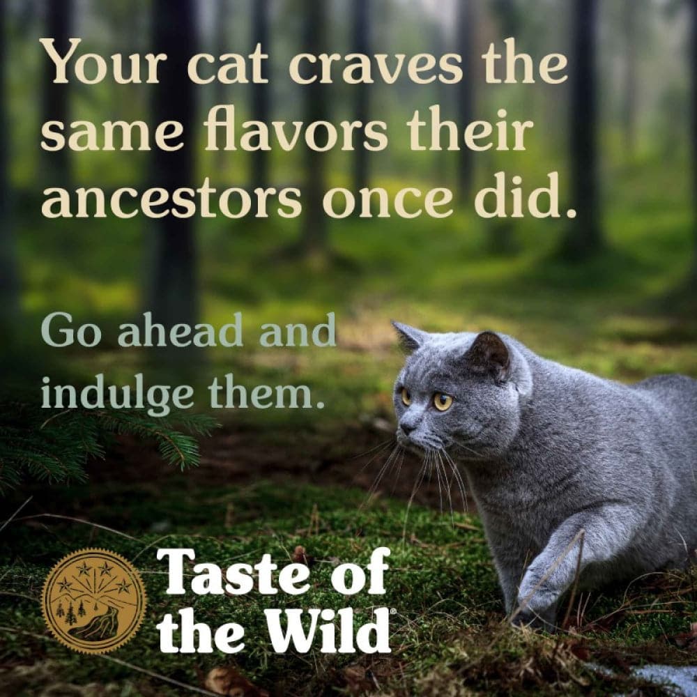 Taste of the Wild Canyon River Feline Recipe with Trout & Smoked Salmon Cat Dry Food | Grain Free Formula image 6