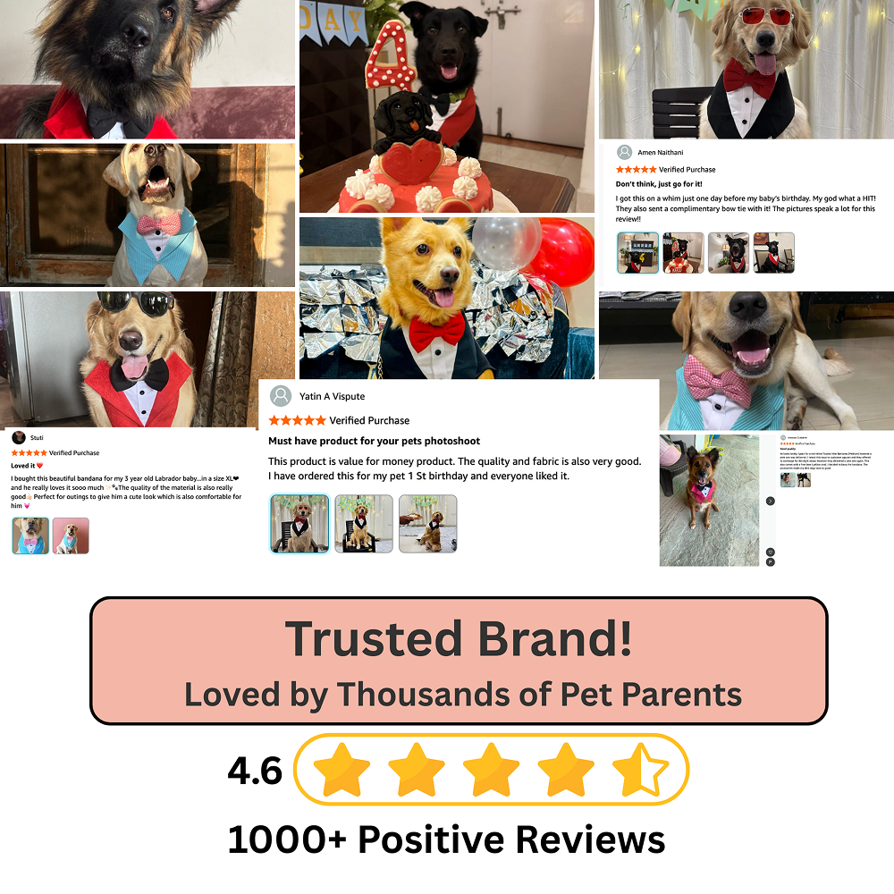 Dogobow Tuxedo Bandana for Dogs (Red) (Get a Bow Free) image 8