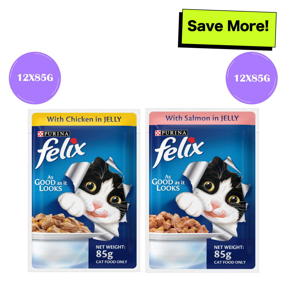 Purina Felix with Chicken and Salmon in Jelly Adult Cat Wet Food
