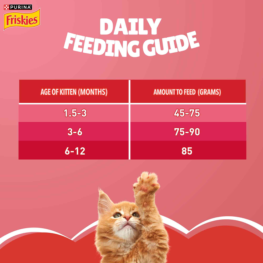 Purina Friskies Kitten Cat Dry Food image 4