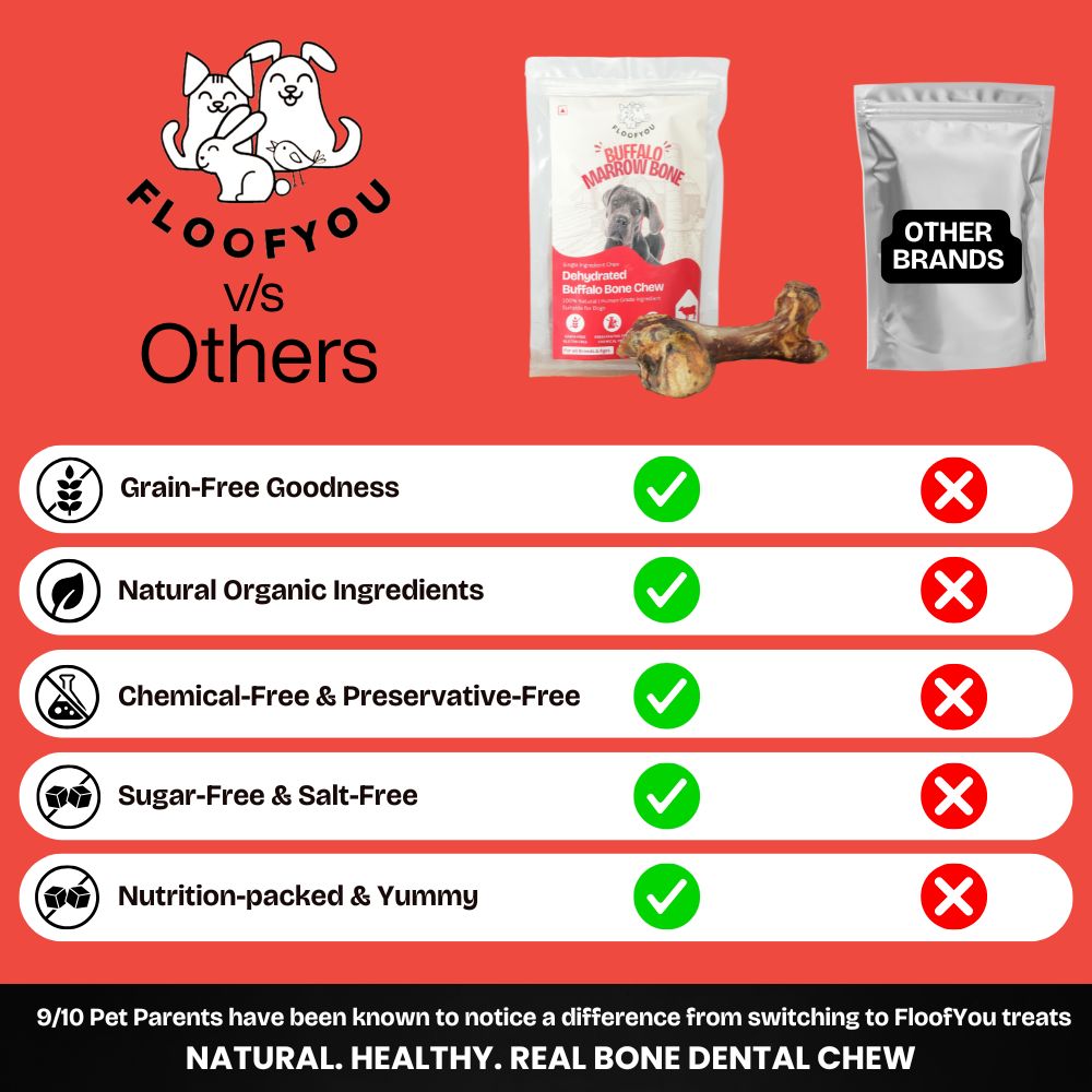FloofYou Air Dried Buffalo Marrow Bone Chew Dog Treats image 5