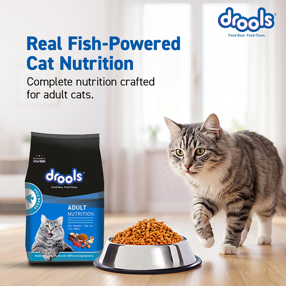Drools Ocean Fish Adult Cat Dry Food image 3