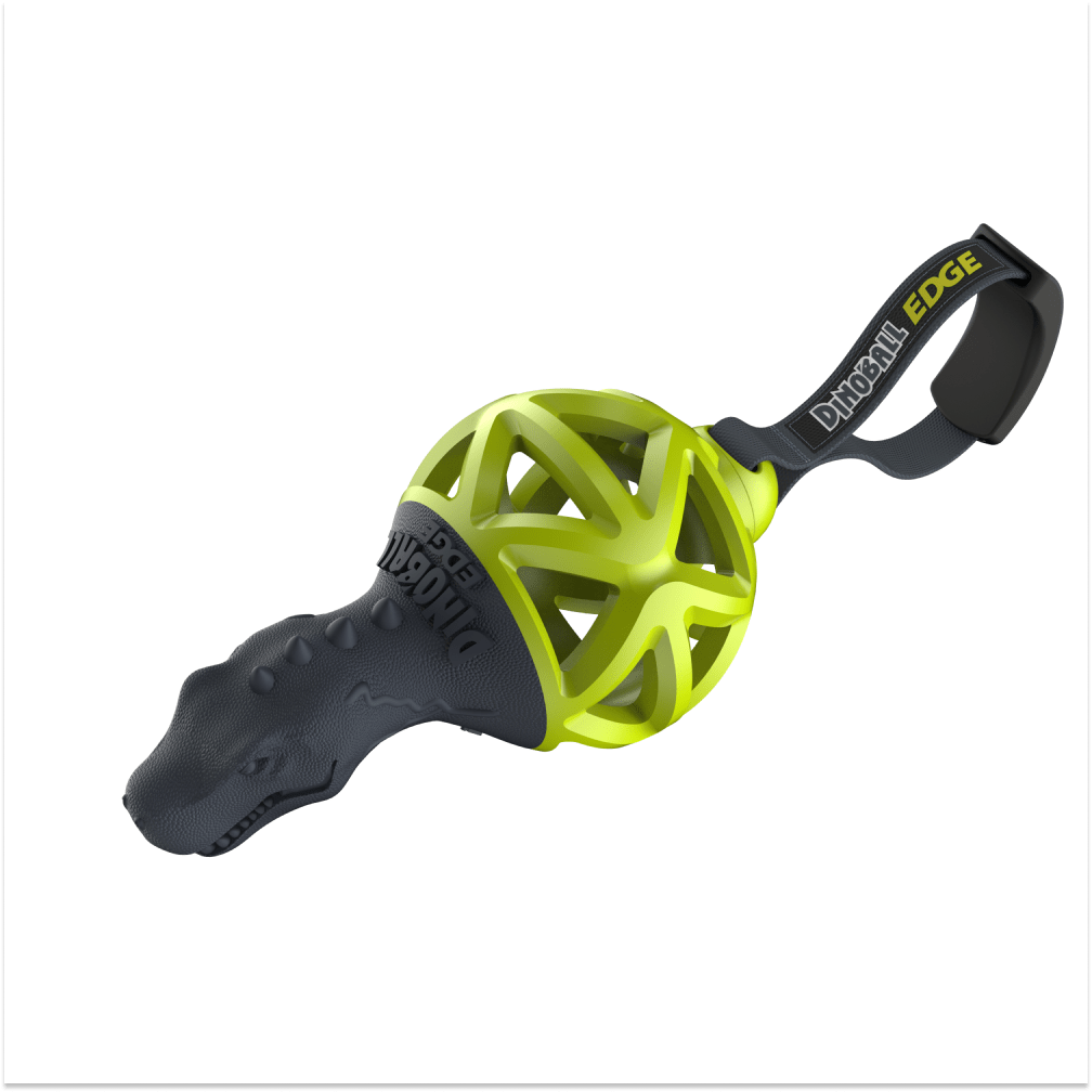 Gigwi Dinoball Edge with Strap Chew Toy for Dogs (Green) image 3