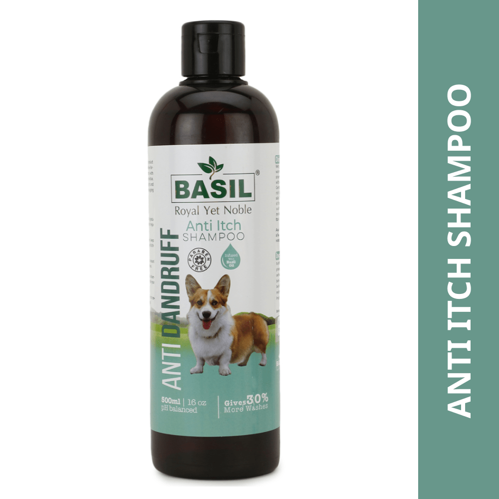 Basil Anti Dandruff & Anti Itch Shampoo for Dogs and Cats image 8