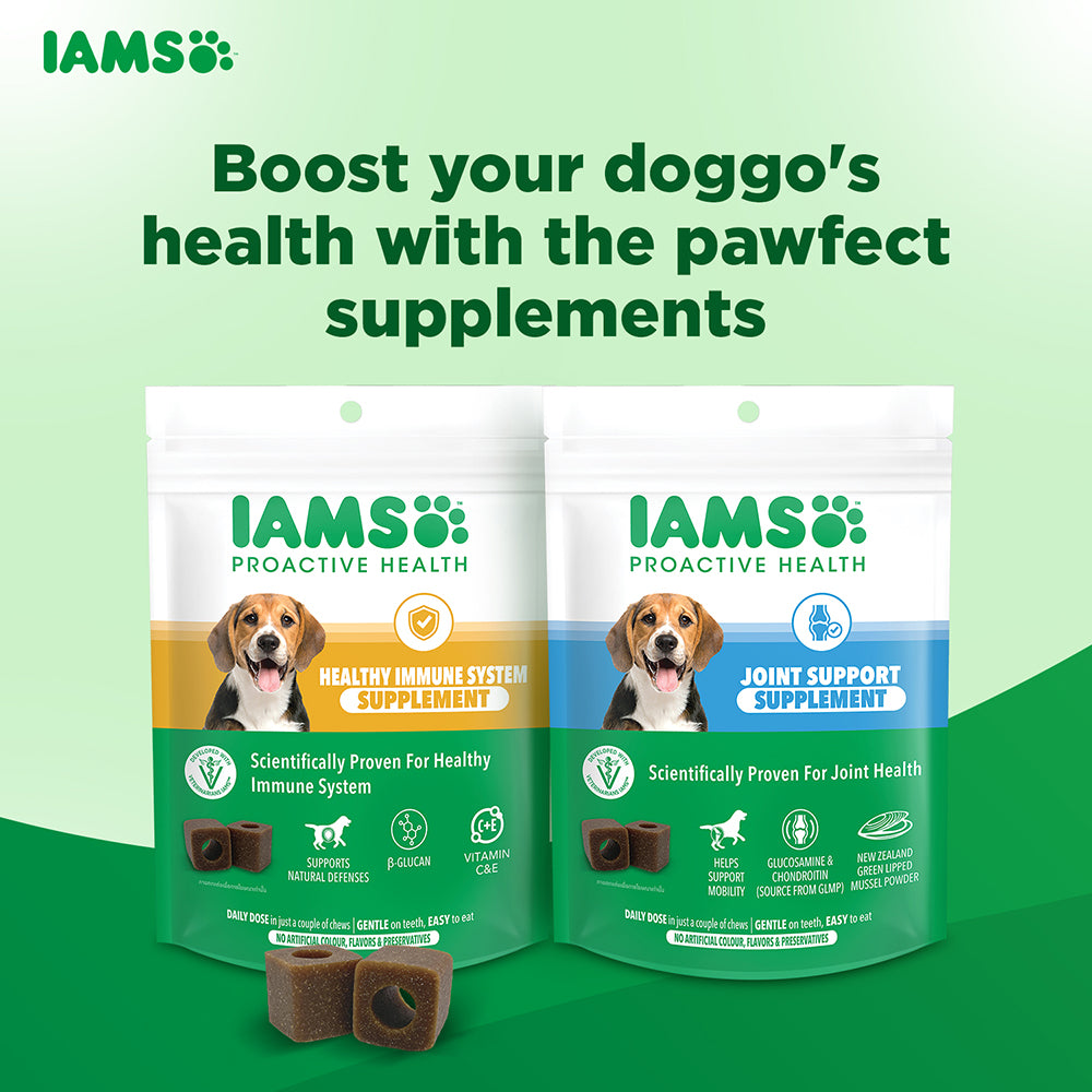 IAMS Proactive Health Dog Supplement For Healthy Immune System image 9