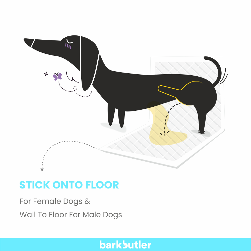 Barkbutler x Fofos Training Pad for Dogs (45x60cm) image 4