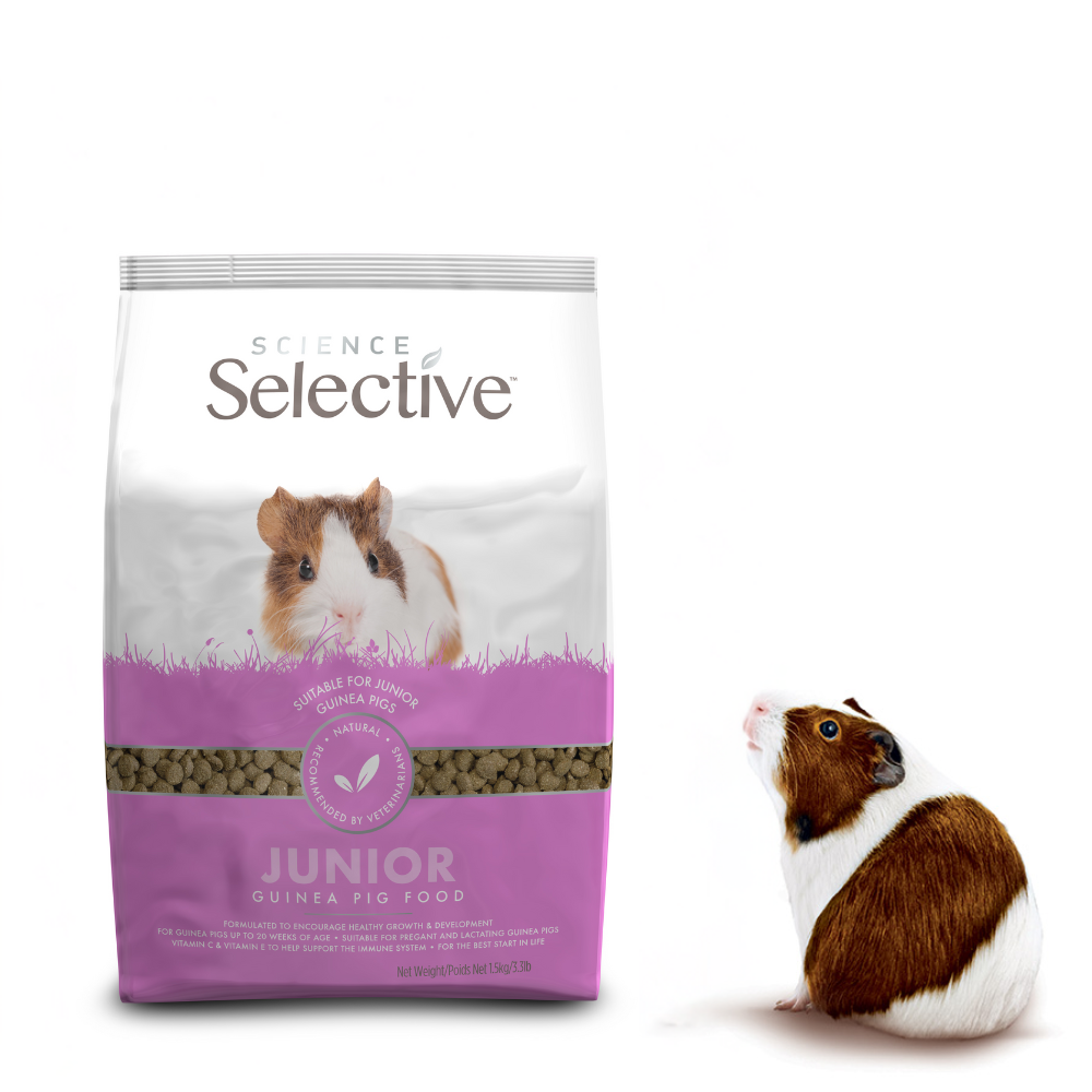 Science Selective Junior Guinea Pig Food image 6