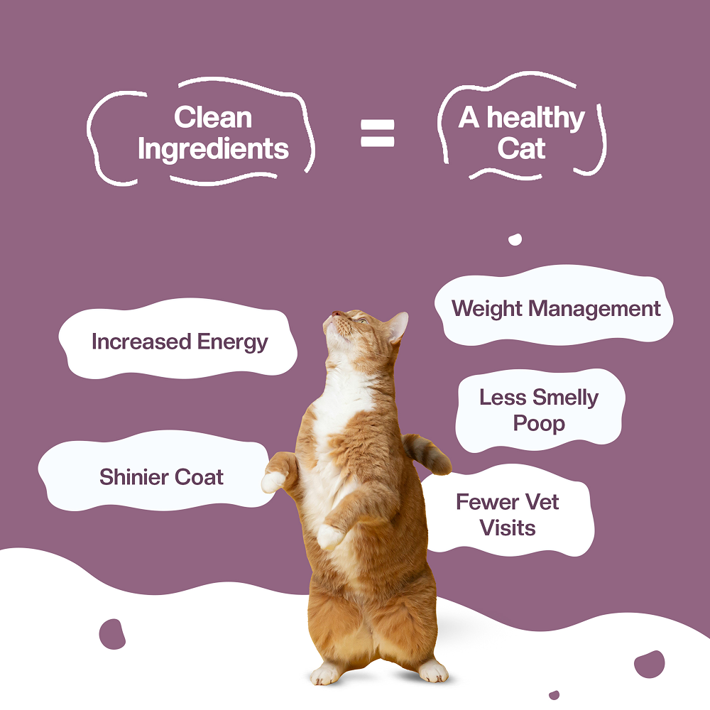 BLEP Tun Tuna Cat Wet Food image 6