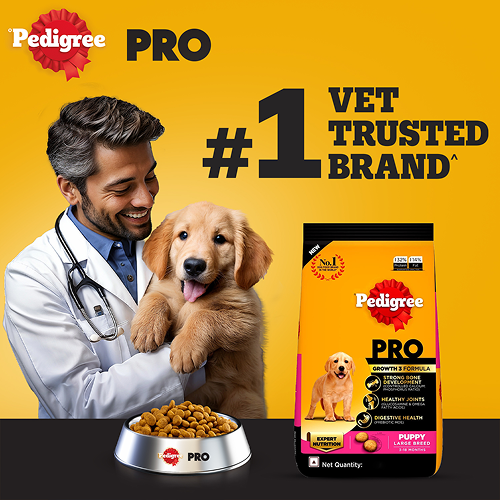 Pedigree PRO Expert Nutrition for Large Breed Puppy (3 to 18 Months) Dog Dry Food image 2