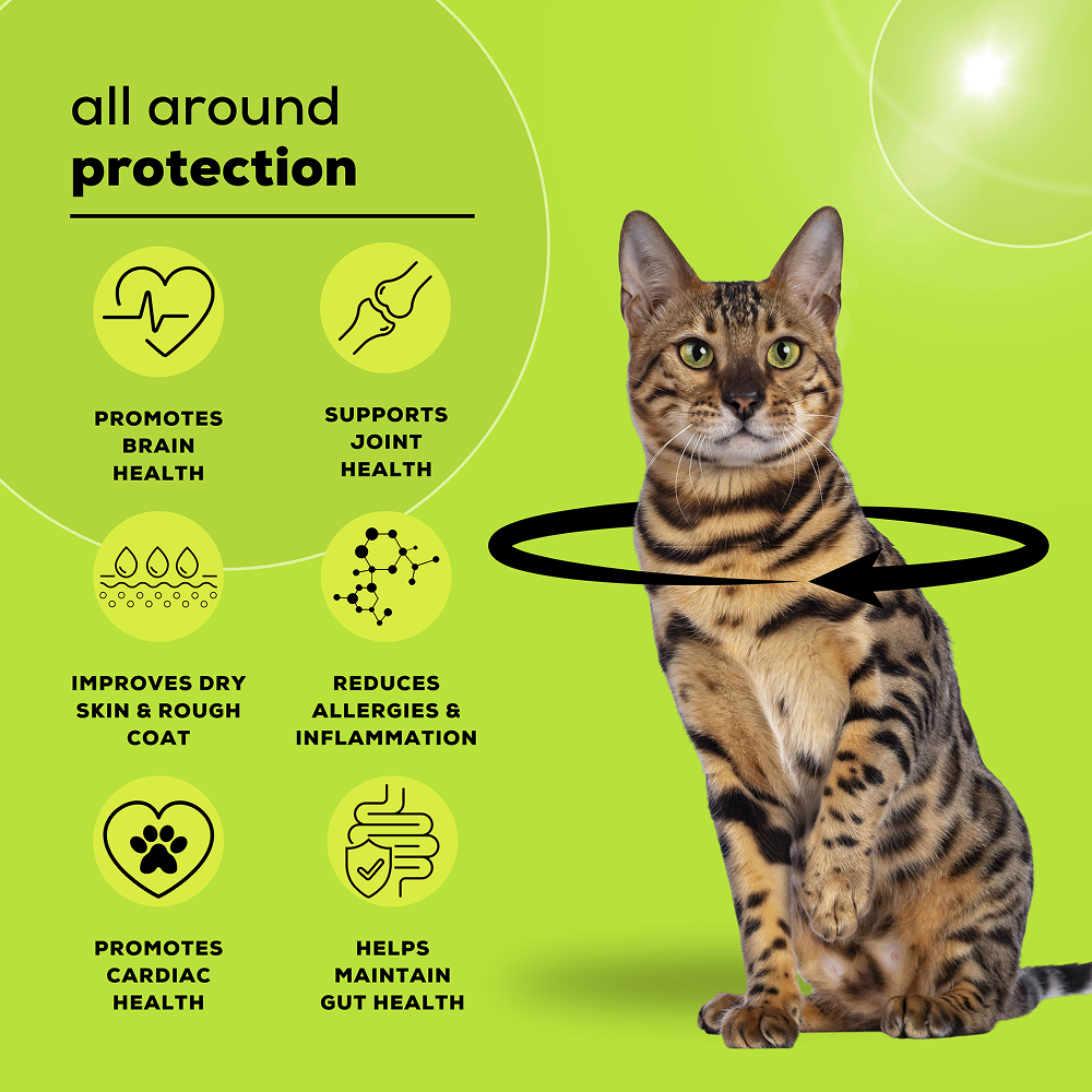 Venttura Healthy Skin & Glowing Coat Omega Fatty Acid Supplement for Cats image 5